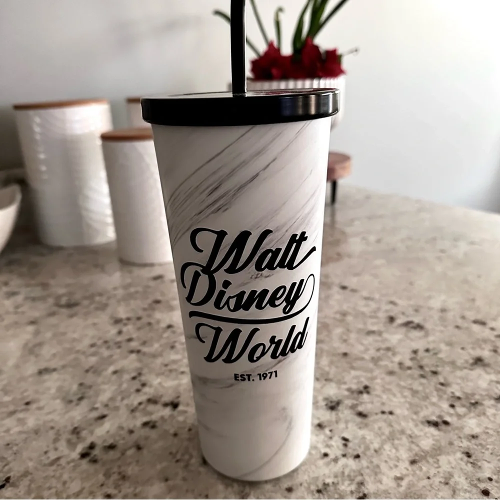 Walt Disney’s World 24oz Tumbler